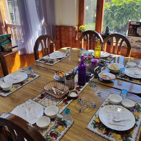 Aroma Taru Villa / Cottage ,Manali Luaran gambar