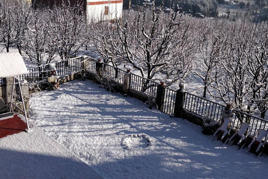 Aroma Taru Villa / Cottage ,Manali Luaran gambar