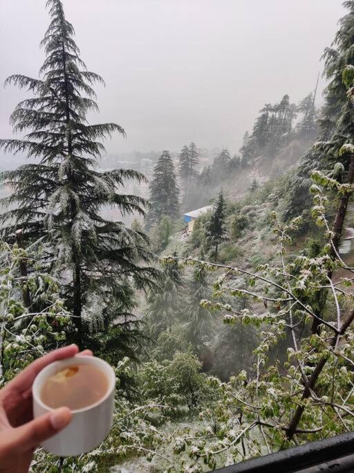 Aroma Taru Villa / Cottage ,Manali Luaran gambar