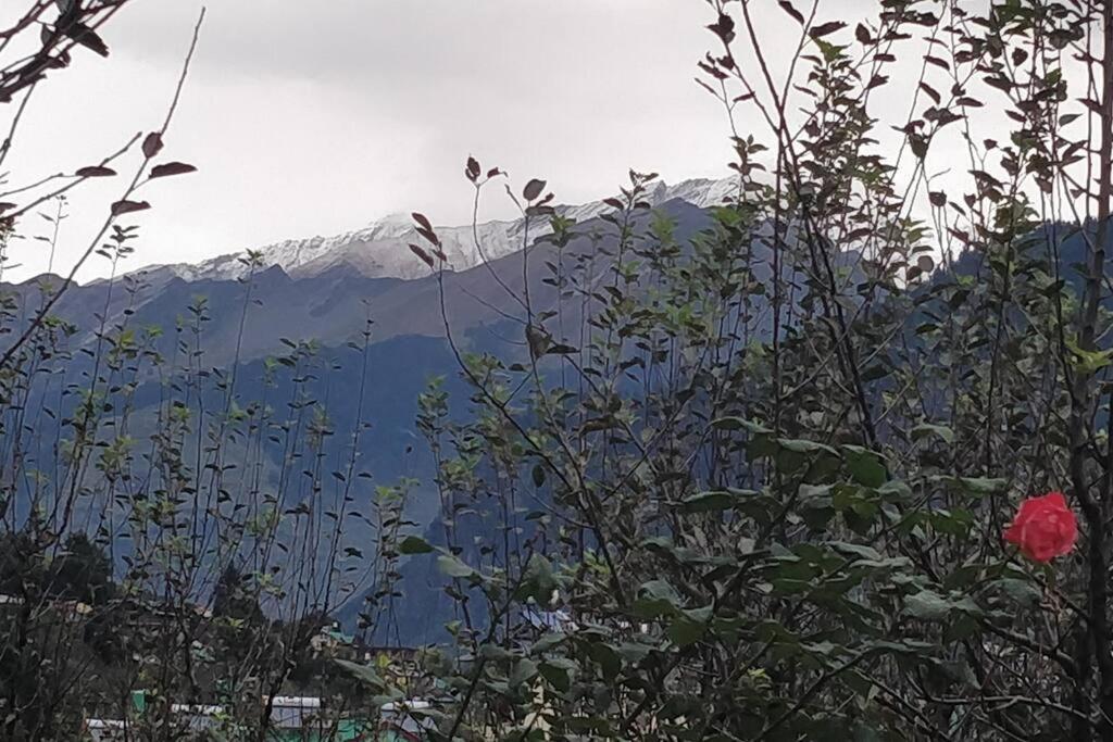 Aroma Taru Villa / Cottage ,Manali Luaran gambar